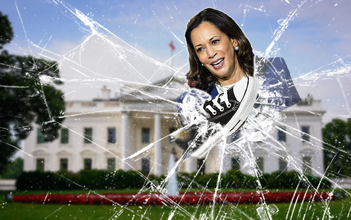 Vice-President Elect Kamala smashed the White House's proverbial glass ceiling.